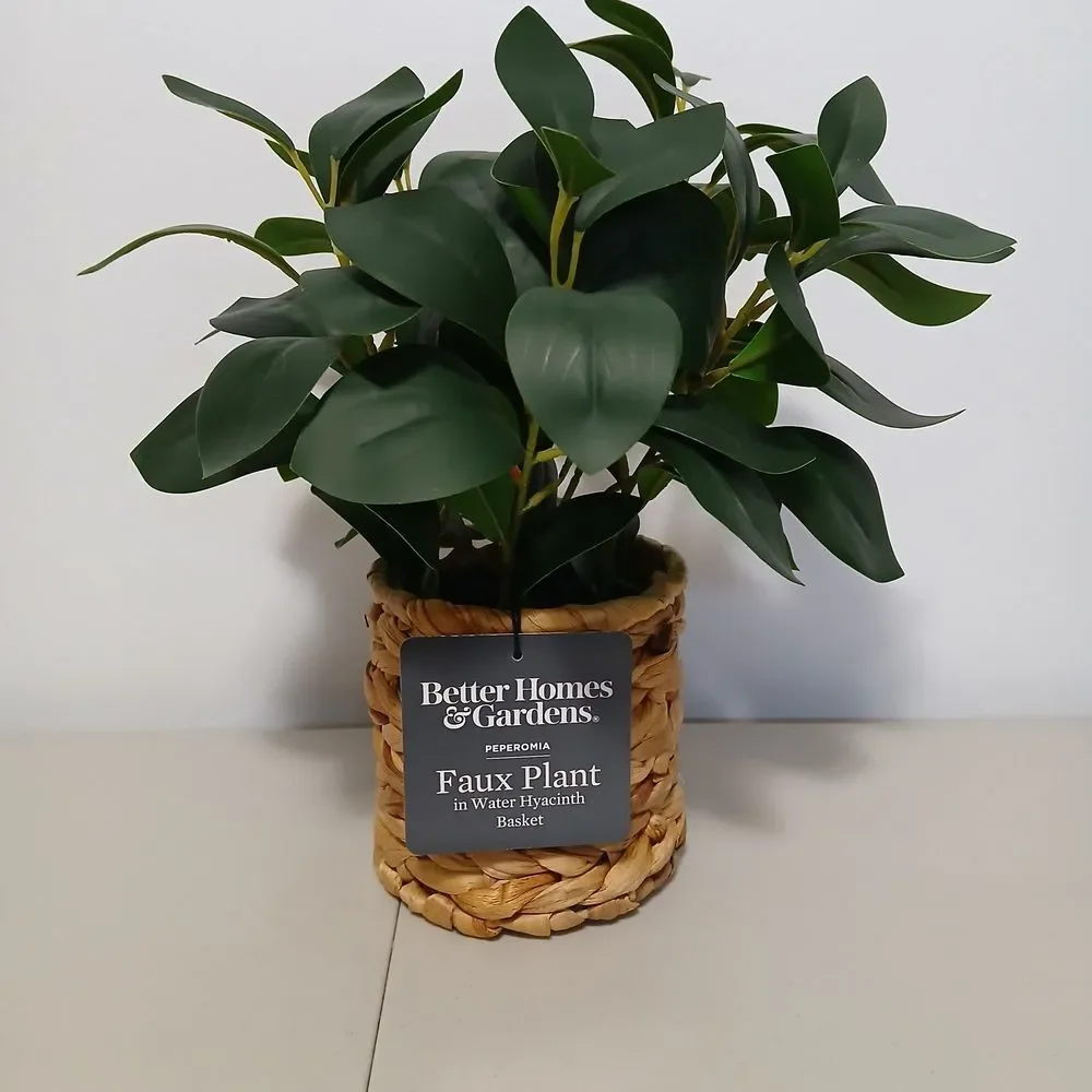 Better Homes & Gardens Natural Brown Boho Decorative Faux Peperomia Plant 12
